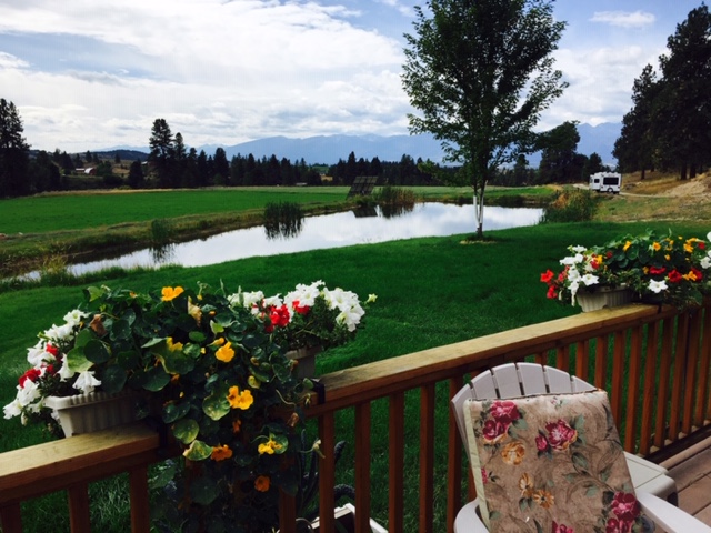 Summer-Pond-1.jpg
