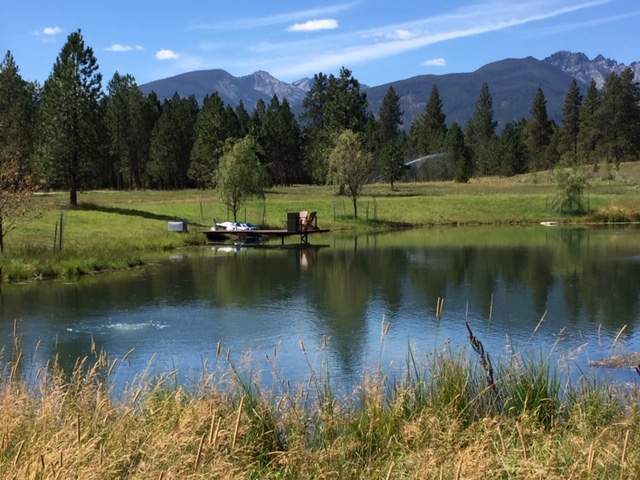 Victor-Pond-1.jpg